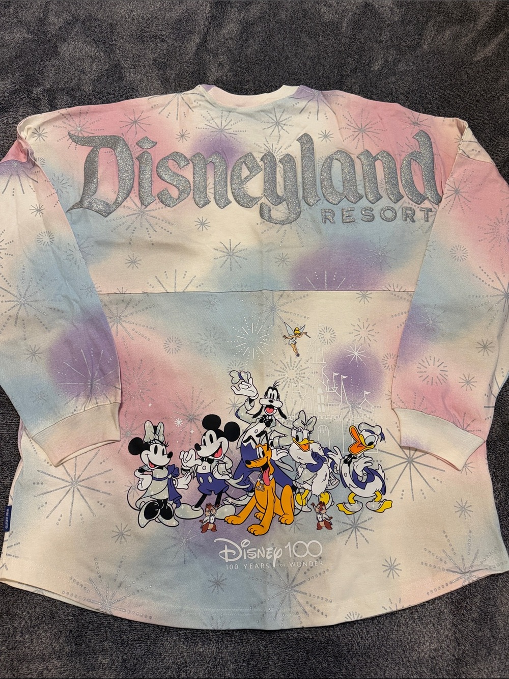 Disneyland Resort 100 Years of Wonder Spirit Jersey